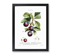 Ripe Plums By Pierre Joseph Redoute Vintage Framed Wall Art Print, Ready to Hang Picture for Living Room Bedroom Home Office Décor, Black A3 (34 x 46 cm)