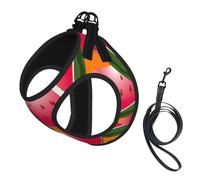 Ripe Watermelon Slice Print Dog Harness Small Sized And Leash Set, Step In Soft Light Puppy Vest Breathable Mesh Pet Harness