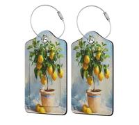 Ripe Yellow Lemons in A Rustic Clay Pot Luggage Tag for Suitcase 2 Pack Leather Luggage Tag with Privacy Flap Name Id Label and Metal Loop for Women Men Travel