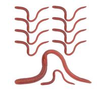 Ripple Worm Toy | 10 Piece Soft Flexible Rubber Earth Worm Toy | Practical Jokes, Gag Toys That Look Realistic for Family, Friends, Coworkers