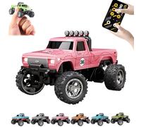 RipRush Mini Monster 1:64 Off-Road LED Alloy Racer, 2025 New 3-Speed Variable Speed Off-Road Vehicle with LED and Remote Control, Unleash Adventure, Build Skills (#A,Pink)