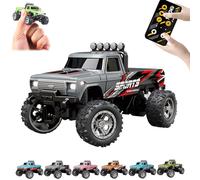 RipRush Mini Monster 1:64 Off-Road LED Alloy Racer, 2025 New 3-Speed Variable Speed Off-Road Vehicle with LED and Remote Control, Unleash Adventure, Build Skills (#A,Gray)