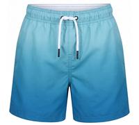 RIPT Boys Swim Shorts Quick Dry Mesh Lining Drawstring UV 50 Sun Protection | Lightweight fabric, Breathable material, Elastic Waistband, Board Shorts, Swimming Trunks, beach activities, casual wear