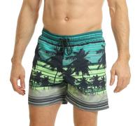 RIPT Men's Performance Essentials Quick Dry UV 50 Sun Protection Swim Shorts Trunks, Lime/Blue, L