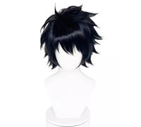 RiRaku Anime Cosplay Wig L Lawliet Black Short Halloween Costume Cosplay Wig,For Christmas Carnival Party