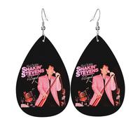 RISATERON Shakin Earrings for Women Stevens Leather Earrings