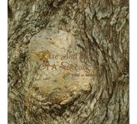 Rise and Fall of a d - You Or Sidney