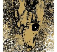 Rise And Fall - Our Circle Is Vicious [VINYL]