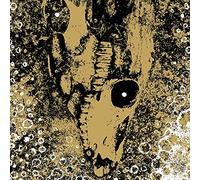 Rise And Fall - Our Circles Is Vicious [VINYL]