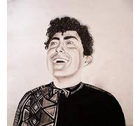 Rise Of Hobo Johnson [VINYL]