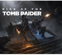 Rise of the Tomb Raider: 20 Year Celebration EU Steam Altergift