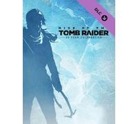 Rise of the Tomb Raider 20 Years Celebration (PC) - Steam Key - EUROPE