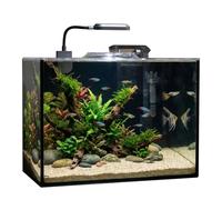 Rise Torrent Glass Fish Tank, 2.8 Gallon Betta Fish Tank Aquarium Starter Kit with Filter and Light, Small Desktop Aquarium Kit for Betta, Goldfish, Small Fish or shrimg