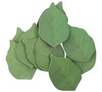 Risedot 10Pcs Green Leaf-Shaped Sticky Notes, Removable Self-Stick Notes Pads, Writing Memo Pads for Office Home (500 Sheets)