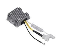 Risegun Voltage Regulator Generator Voltage Regulator 5KW Single Phase Aluminum Alloy Engine Stabilizer DC 12V