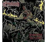 Risen from the Flames