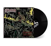 Risen from The Flames [VINYL]