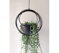 RISEON Boho Gold Metal Plant Hanger,Metal Geometric Hanging Planter, Modern Planter, Mid Century Air Plant Holder Stand, Minimalist Planter for Indoor Outdoor Home Wedding Decor (Black)