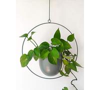 RISEON Boho Green Metal Plant Hanger,Metal Wall and Ceiling Hanging Planter, Modern Planter, Mid Century Flower Pot Plant Holder, Minimalist Planter for Indoor Outdoor Home Decor