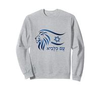 Rising Lion Nation Of Israel Jewish Bible Am Israel Chai Sweatshirt