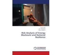 Risk Analysis of Energy Blackouts and National Resilience