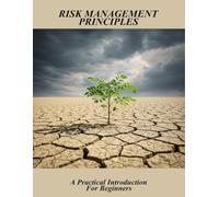 Risk Management Principles: A Practical Introduction For Beginners