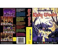 Risky Woods Mega Drive PAL Replacement Box Art Case Insert Cove Only Print