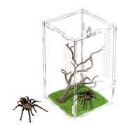 Rislobx Jumping Spider Enclosure, Acrylic Terrarium for Tarantula, Insect, Reptiles (0.8 gallons, 7.9x4.7x4.7 inches)