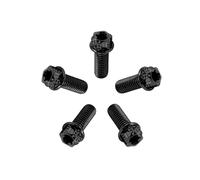 RISON Titanium Bolts M6*1.0 * 12 Torx Titanium Bolts for Motorcycles Hex Head Dual Drive Black Titanium Flange Bolt Pack of 5