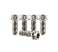RISON Titanium Bolts M6*1.0 * 15 Torx Titanium Bolts for Motorcycles Hex Head Dual Drive Original Titanium Flange Bolt Pack of 5