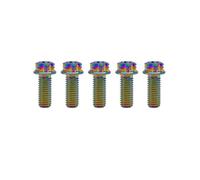 RISON Titanium Bolts M6*1.0 * 15 Torx Titanium Bolts for Motorcycles Hex Head Dual Drive Rainbow Titanium Flange Bolt Pack of 5