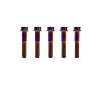 RISON Titanium Bolts M6*1.0 * 25 Torx Titanium Bolts for Motorcycles Hex Head Dual Drive Burnt Blue Titanium Flange Bolt Pack of 5