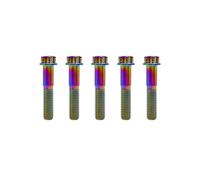 RISON Titanium Bolts M6*1.0 * 25 Torx Titanium Bolts for Motorcycles Hex Head Dual Drive Rainbow Titanium Flange Bolt Pack of 5
