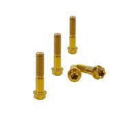 RISON Titanium Bolts M6*1.0 * 30 Torx Titanium Bolts for Motorcycles Hex Head Dual Drive Gold Titanium Flange Bolt Pack of 5