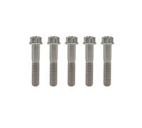 RISON Titanium Bolts M6*1.0 * 30 Torx Titanium Bolts for Motorcycles Hex Head Dual Drive Original Titanium Flange Bolt Pack of 5