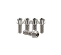 RISON Titanium Bolts Ti Bolt M8*1.25 * 20 Hex Tapered Socket Head 5Pcs Original Titanium Hex Tapered Head Bolt Screw for Bike stem