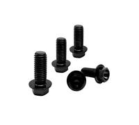 Rison Titanium Bolts Titanium Flanged Hex Head Bolt M10x1.25x20mm 6AL4V Aerospace Grade Ti Bolt Black Titanium Bolt for Motorcycle Car Modification Pack of 5