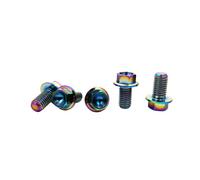 Rison Titanium Bolts Titanium Flanged Hex Head Bolt M6x1.0x10mm 6AL4V Aerospace Grade Ti Bolt Rainbow Titanium Bolt for Motorcycle Car Modification Pack of 5
