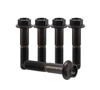 Rison Titanium Bolts Titanium Flanged Hex Head Bolt M8x1.25x30mm 6AL4V Aerospace Grade Ti Bolt Black Titanium Bolt for Motorcycle Car Modification Pack of 5