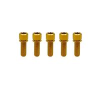 RISON Titanium M6 x 18mm Bicycle Screws Allen Hex Socket Head Bike Bolts Gold Bolts with Washer 5PCS