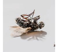 Rissanen, Aki - Hyperreal