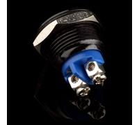 Risveglio 16mm Reset Switch Momentary Push Button, 3A 250V 12V DC Car Boat Machine Motor Vehicle Power Supply