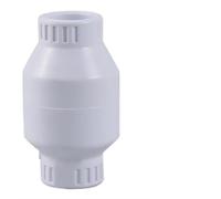 Risveglio 2 Inch PVC Slip Swing Check Valve Non-Return Backflow Preventer Landscape Irrigation Pools and Spas