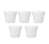 Risveglio 5 Pack Clear Plastic Orchid Pots with Drainage Holes, Transparent Plant Containers Home Garden, Assorted Sizes Small to XL
