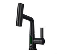 Risveglio Brass Pull Out Kitchen Faucet with Real Time Temperature Display for 360 Rotatable Sprayer Head Bathroom Laundry Room White(Black)