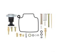 Risveglio Carburetor Rebuild Kit TRX300FW for FourTrax 4x4 1993-2000, Includes Pump Spring Screw and 120 for Main Jet