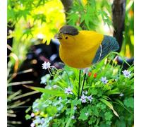Risveglio Plant Watering Alarm Soil Moisture Meter, Singing Bird Hygrometer Sensor with for Auto Night Off Garden Indoor Pots