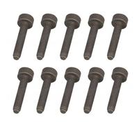 Risveglio Torx Screw IS-M5x27 M5x27 MS261 MS362 MS462 Chainsaw High Strength for OEM Specification