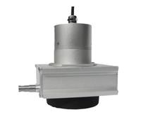 RISWEKFW WWS-S 100-1300mm Waterproof Pull Rope Position Encoder Draw-Wire Displacement Sensor Linear Transducer String Potentoimeter(600mm,0-5V)