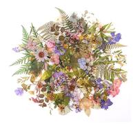 RISYPISY 160pcs Floral and Plant Stickers, Decorative Scrapbooking Stickers Aesthetic for DIY Craft, Planners, Journals